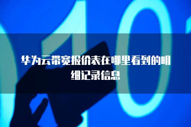 华为云带宽报价表在哪里看到的明细记录信息