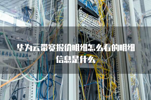 华为云带宽报价明细怎么看的明细信息是什么