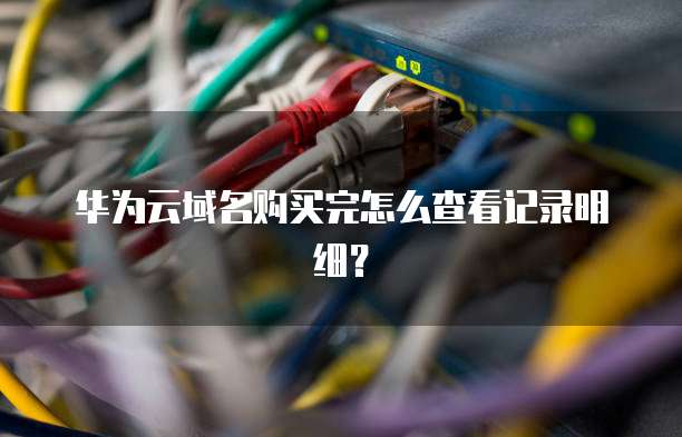 华为云域名购买完怎么查看记录明细?