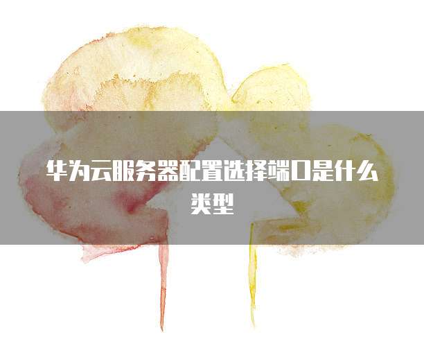 华为云服务器配置选择端口是什么类型