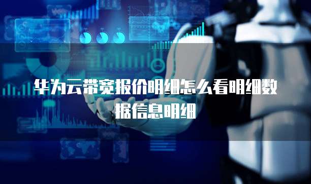 华为云带宽报价明细怎么看明细数据信息明细
