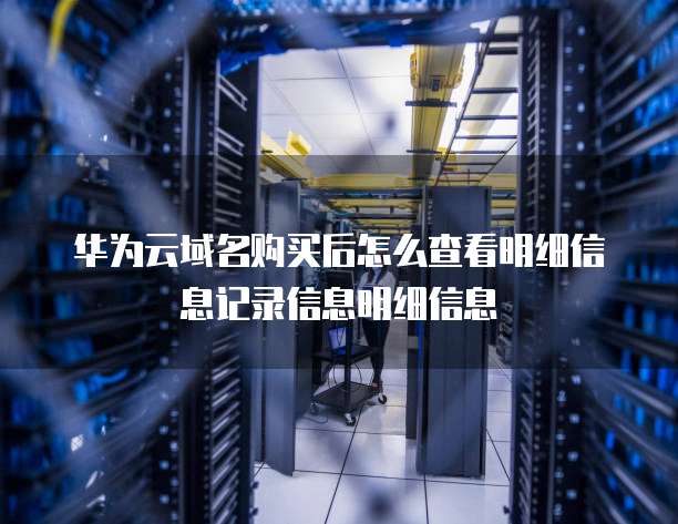 华为云域名购买后怎么查看明细信息记录信息明细信息