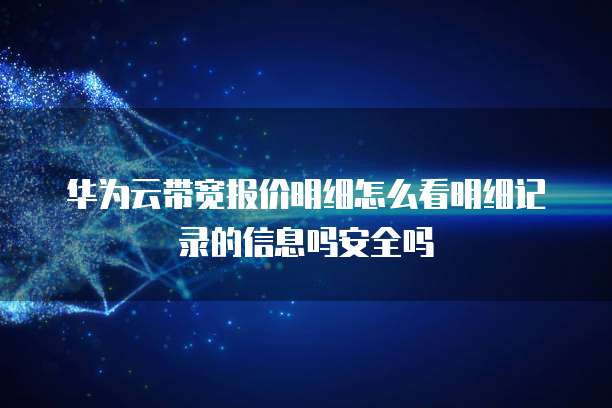 华为云带宽报价明细怎么看明细记录的信息吗安全吗
