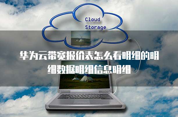 华为云带宽报价表怎么看明细的明细数据明细信息明细