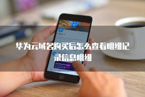 华为云域名购买后怎么查看明细记录信息明细