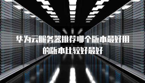 华为云服务器推荐哪个版本最好用的版本比较好最好