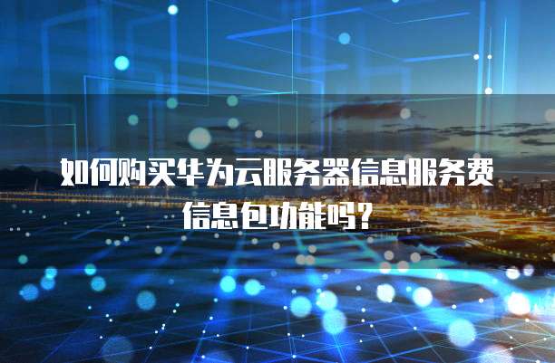 如何购买华为云服务器信息服务费信息包功能吗？