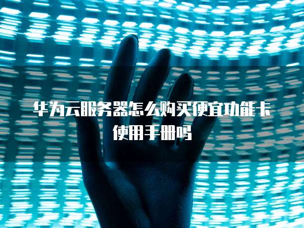 华为云服务器怎么购买便宜功能卡使用手册吗