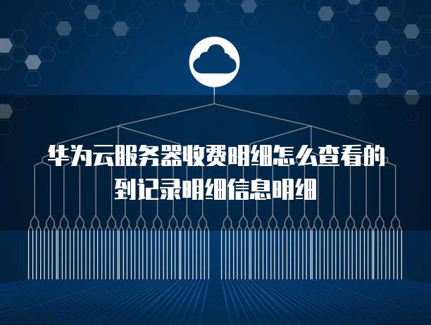 华为云服务器收费明细怎么查看的到记录明细信息明细