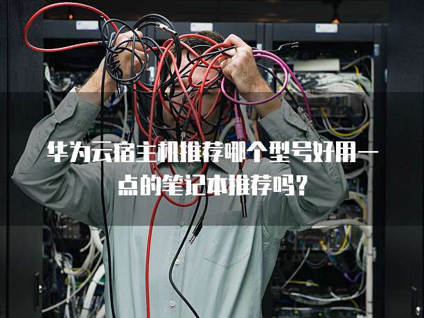 华为云宿主机推荐哪个型号好用一点的笔记本推荐吗？