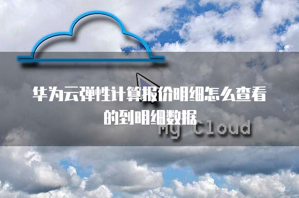 华为云弹性计算报价明细怎么查看的到明细数据
