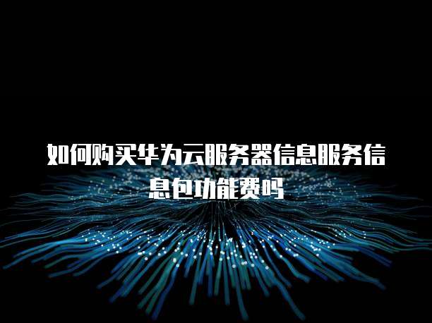如何购买华为云服务器信息服务信息包功能费吗