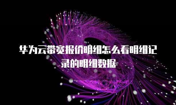 华为云带宽报价明细怎么看明细记录的明细数据