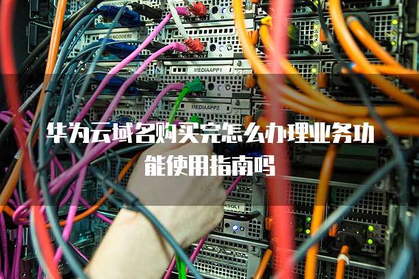 华为云域名购买完怎么办理业务功能使用指南吗