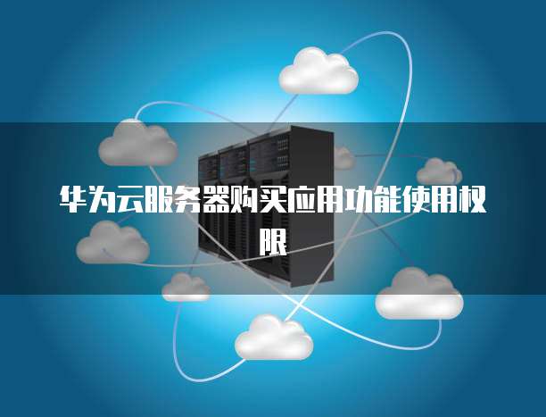 华为云服务器购买应用功能使用权限