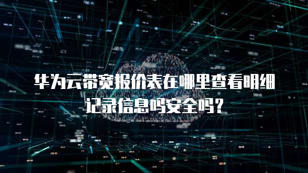 华为云带宽报价表在哪里查看明细记录信息吗安全吗?
