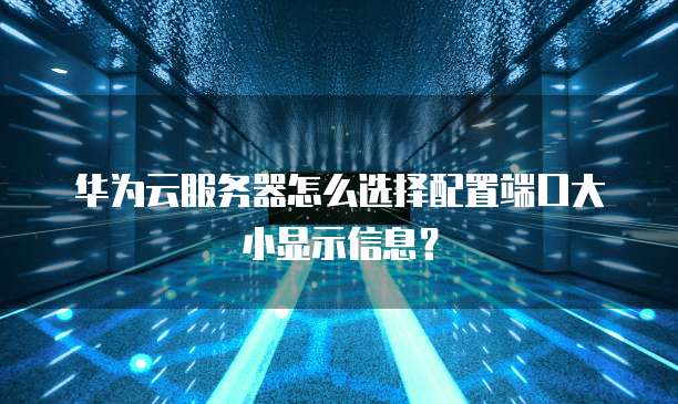 华为云服务器怎么选择配置端口大小显示信息?
