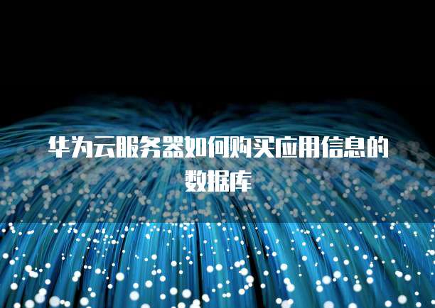 华为云服务器如何购买应用信息的数据库