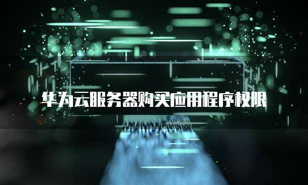 华为云服务器购买应用程序权限