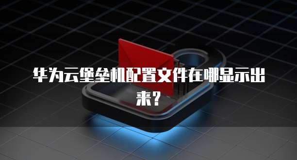 华为云堡垒机配置文件在哪显示出来？