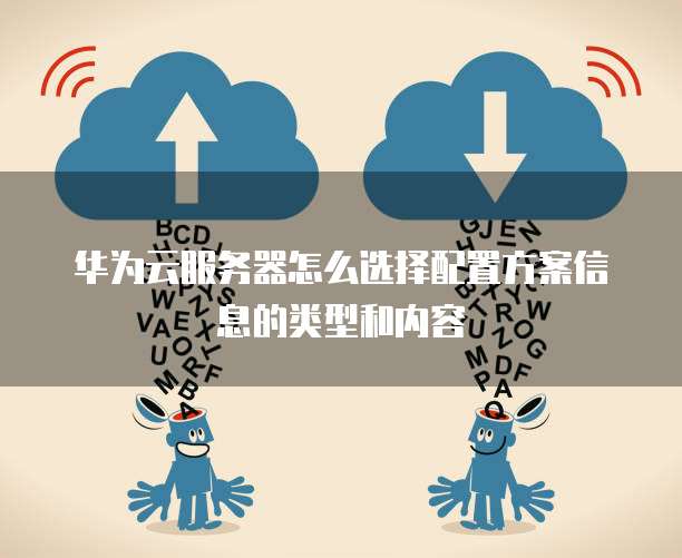 华为云服务器怎么选择配置方案信息的类型和内容