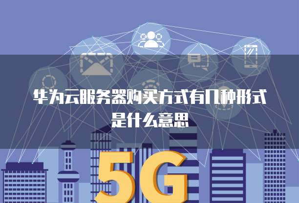华为云服务器购买方式有几种形式是什么意思