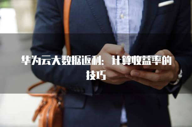 华为云大数据返利:计算收益率的技巧