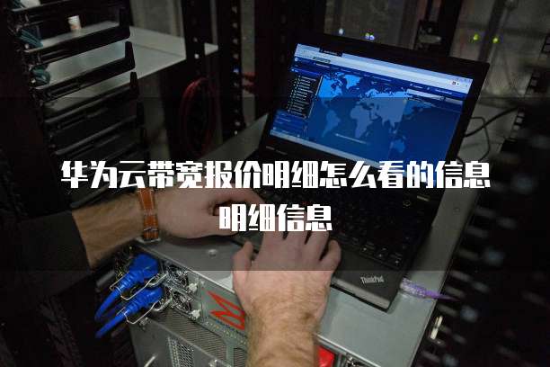 华为云带宽报价明细怎么看的信息明细信息