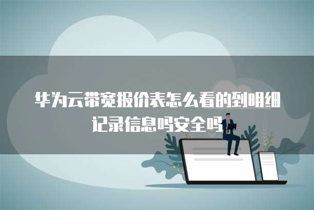 华为云带宽报价表怎么看的到明细记录信息吗安全吗