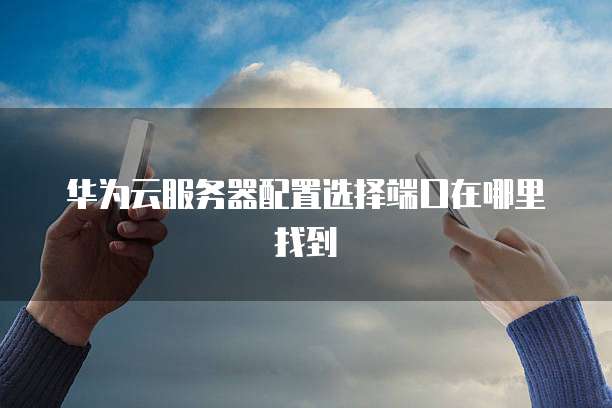 华为云服务器配置选择端口在哪里找到