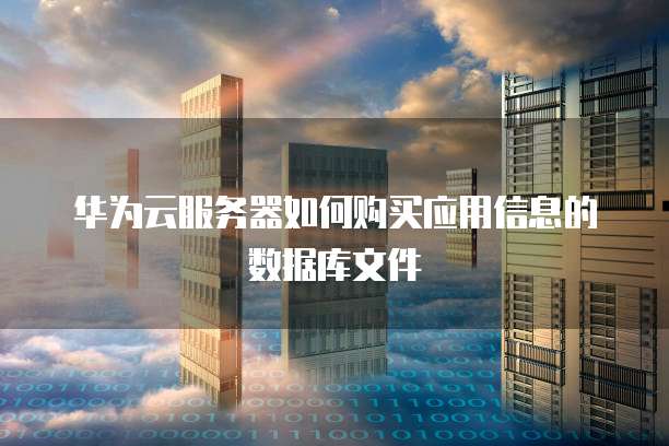 华为云服务器如何购买应用信息的数据库文件