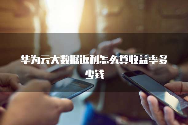 华为云大数据返利怎么算收益率多少钱