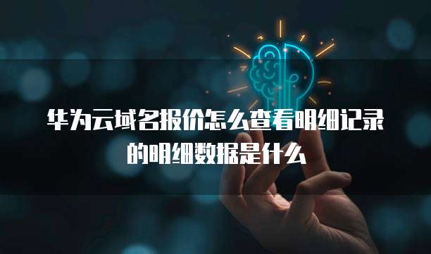 华为云域名报价怎么查看明细记录的明细数据是什么