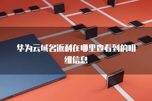 华为云域名返利在哪里查看到的明细信息