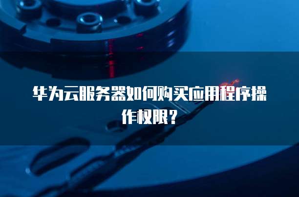华为云服务器如何购买应用程序操作权限?
