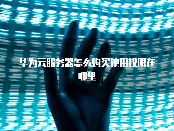 华为云服务器怎么购买使用权限在哪里