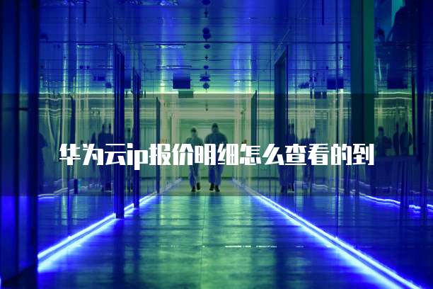 华为云ip报价明细怎么查看的到
