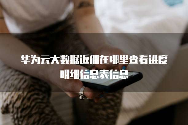 华为云大数据返佣在哪里查看进度明细信息表信息