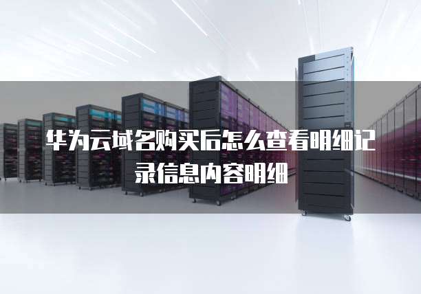 华为云域名购买后怎么查看明细记录信息内容明细