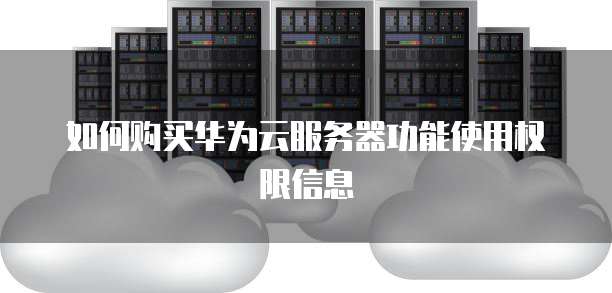 如何购买华为云服务器功能使用权限信息
