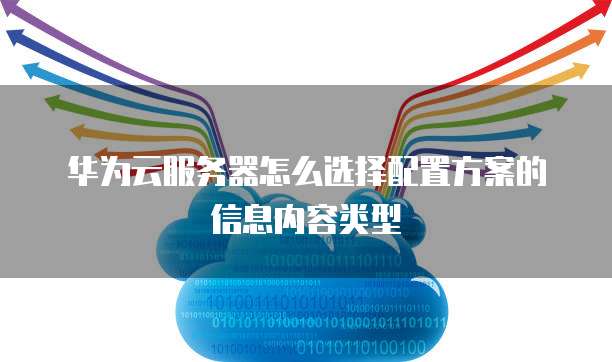 华为云服务器怎么选择配置方案的信息内容类型