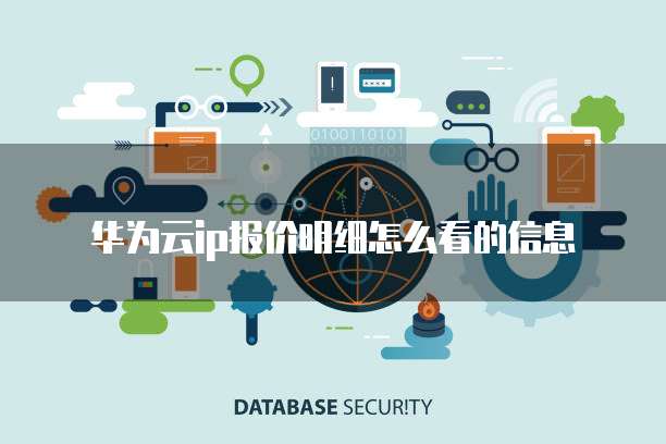 华为云ip报价明细怎么看的信息