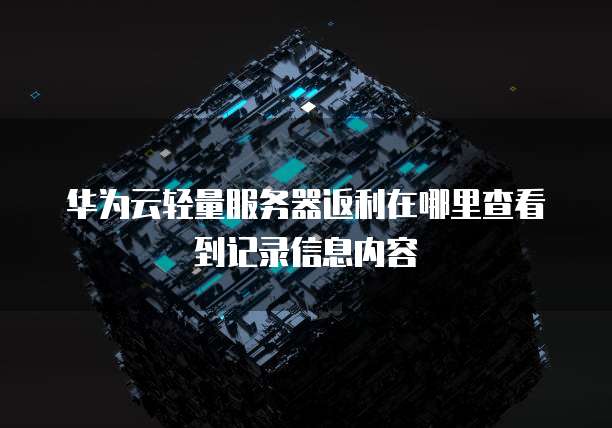 华为云轻量服务器返利在哪里查看到记录信息内容