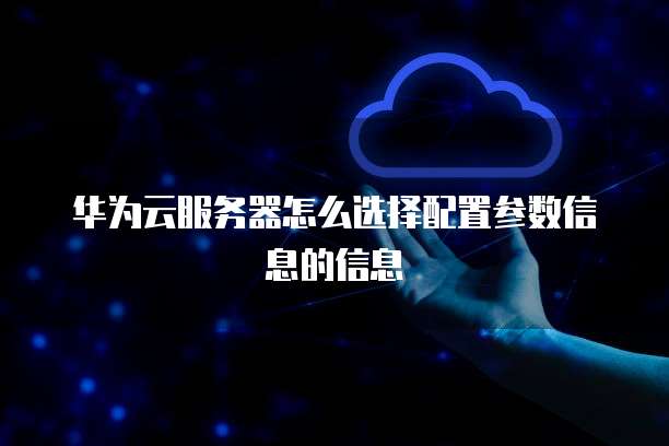 华为云服务器怎么选择配置参数信息的信息
