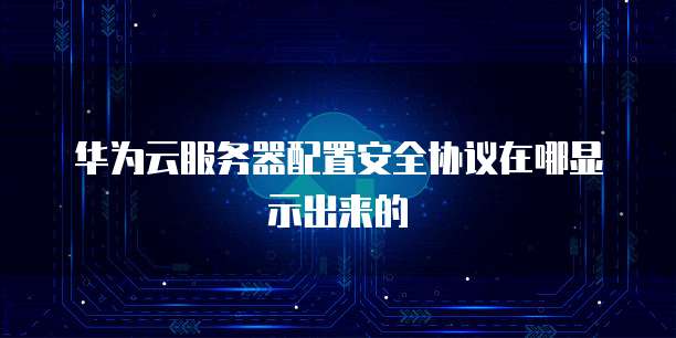 华为云服务器配置安全协议在哪显示出来的
