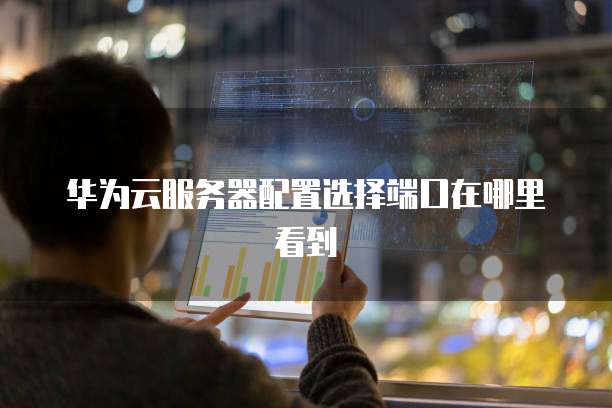 华为云服务器配置选择端口在哪里看到