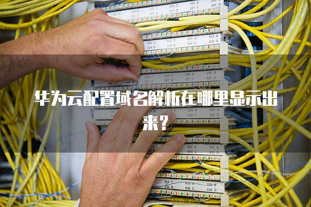 华为云配置域名解析在哪里显示出来?