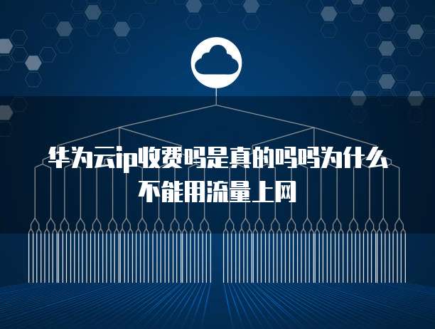 华为云ip收费吗是真的吗吗为什么不能用流量上网