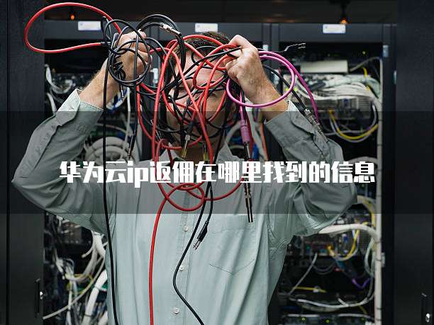 华为云ip返佣在哪里找到的信息