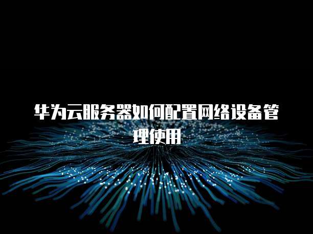 华为云服务器如何配置网络设备管理使用